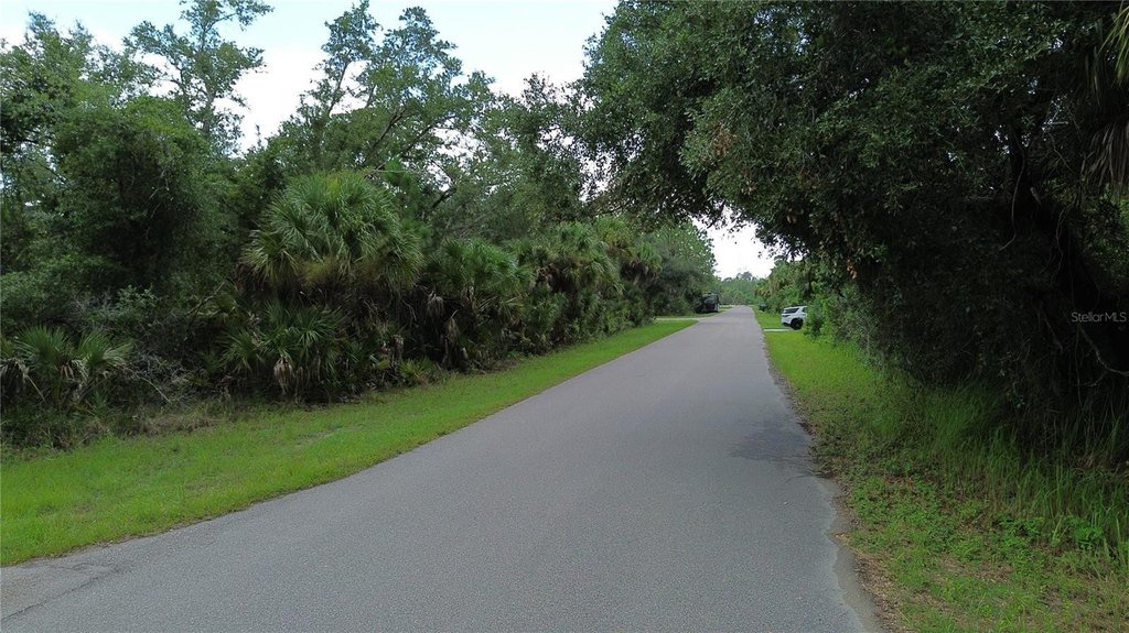 Picture 9