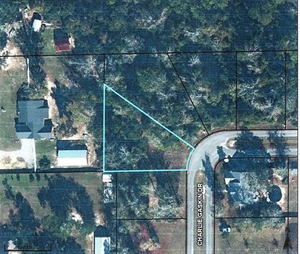Residential Land in Wewahitchka, FL