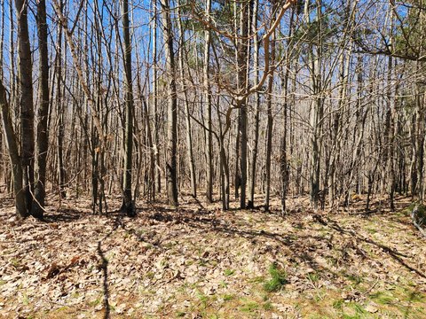 Residential Lot Near Lake Michigan