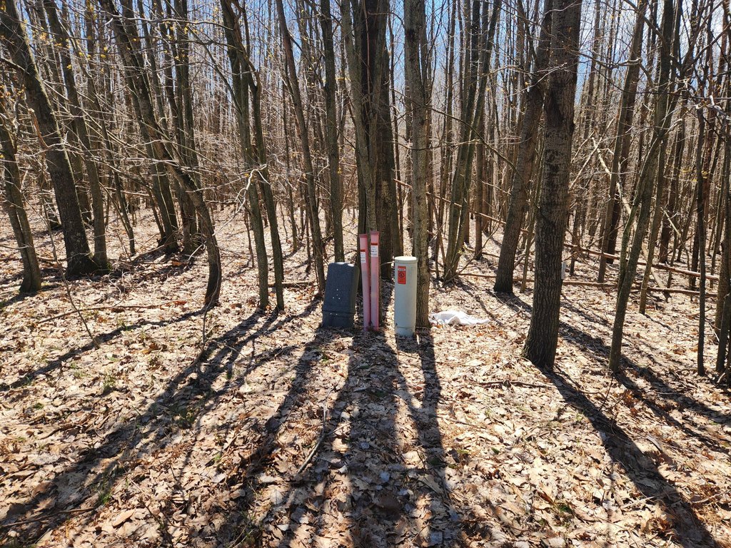 Picture 10
