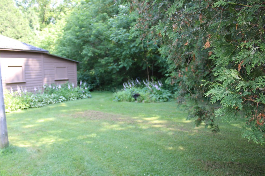 Picture 4