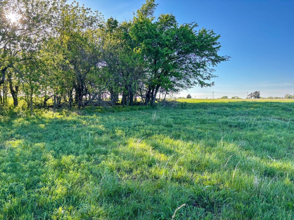 Picture 21