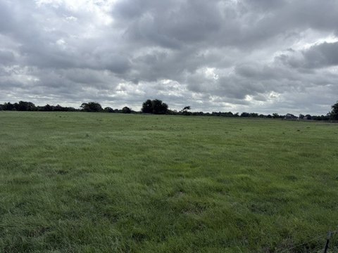 Land, Van, TX