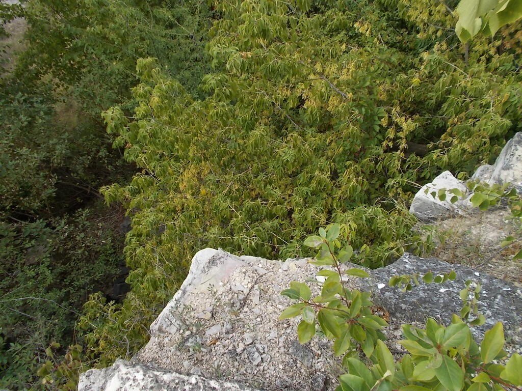 Picture 14