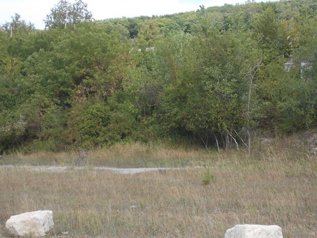 Picture 23
