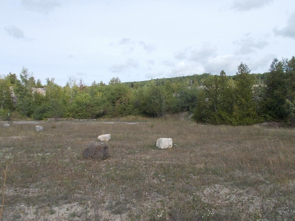 Picture 22