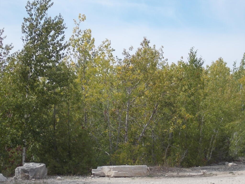 Picture 7