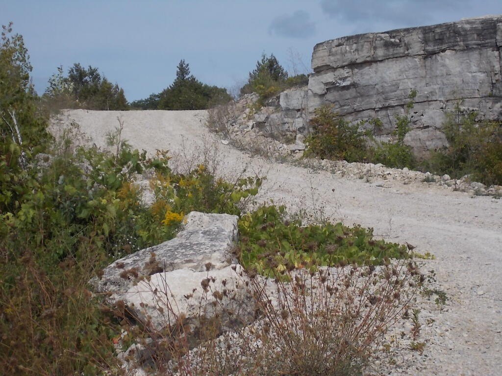 Picture 17