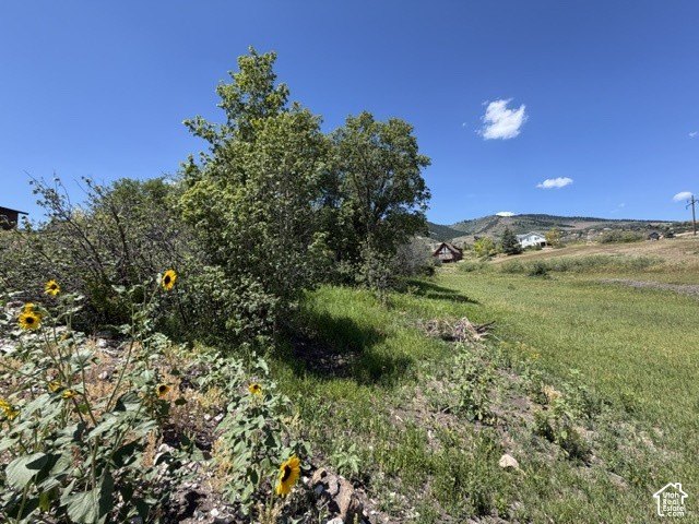 Picture 3