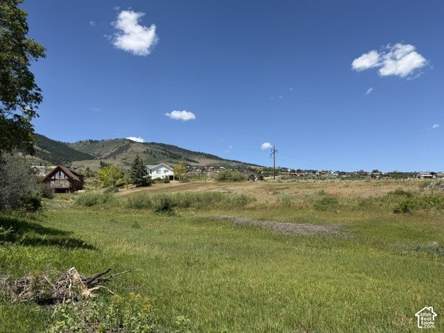 Picture 2