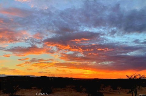 2.5 Acres in Wonder Valley