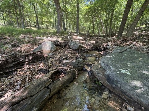 LAND - Garfield, AR