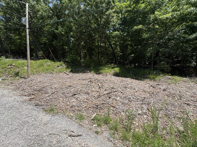 Picture 15