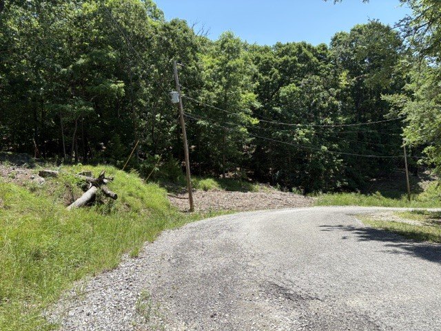 Picture 12