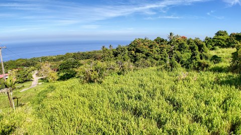 Land, Kealakekua, HI