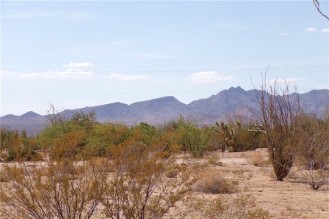 LAND - Yucca, AZ