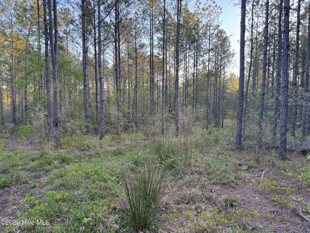 Picture 25