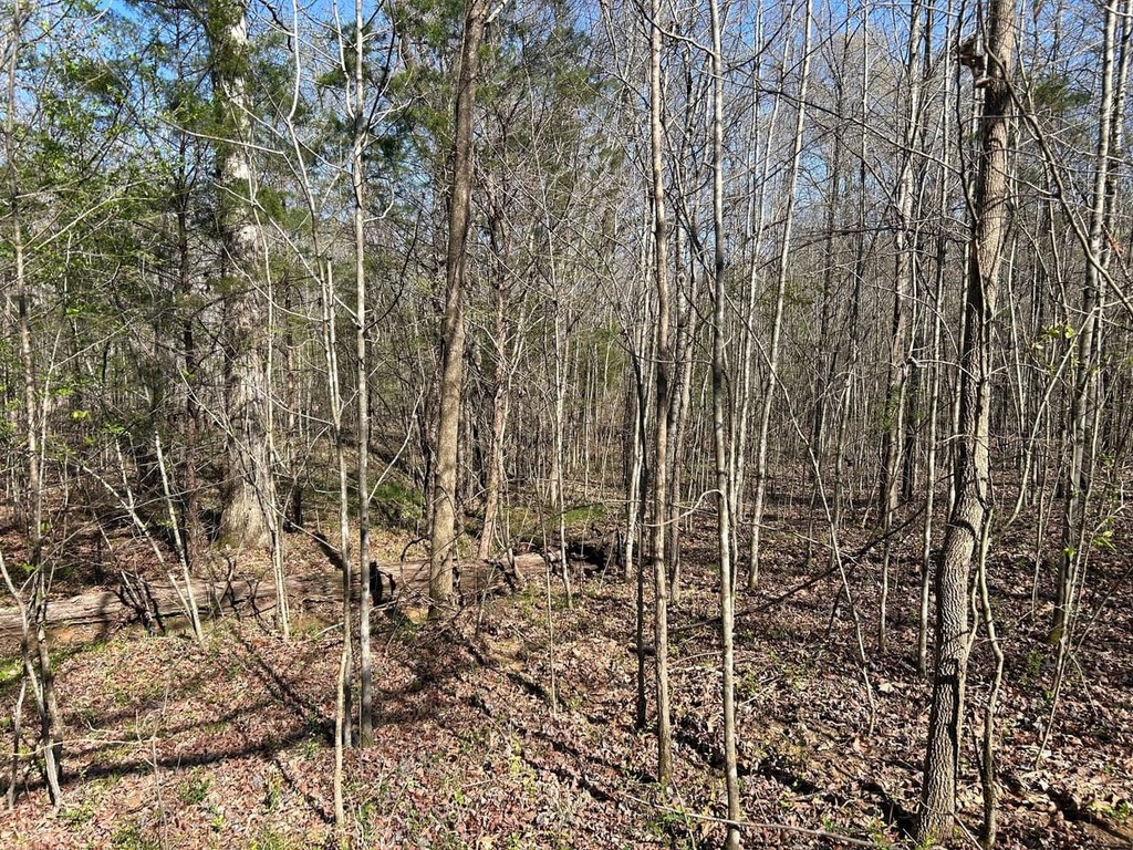 Picture 19