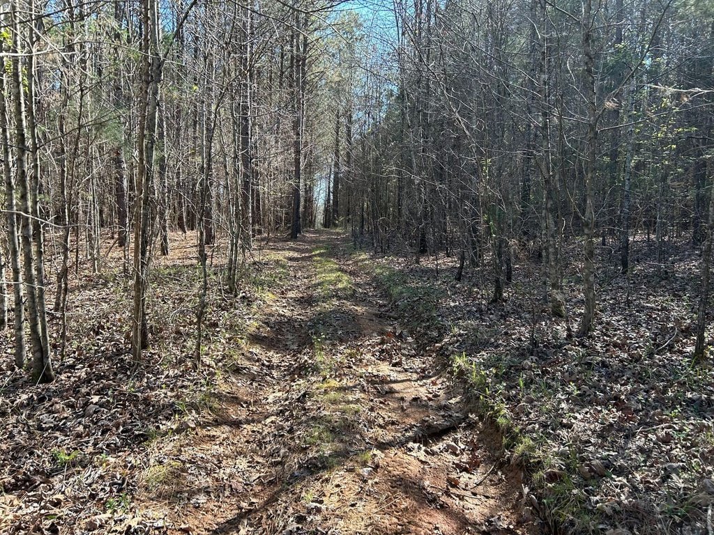 Picture 23