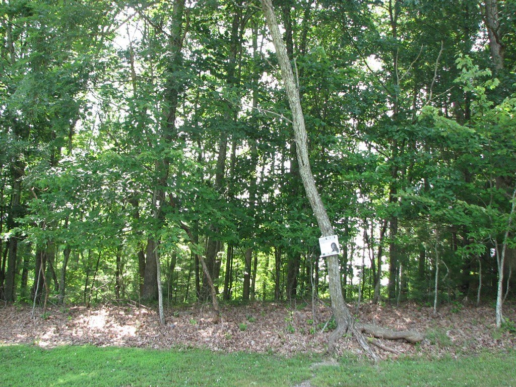 Picture 3