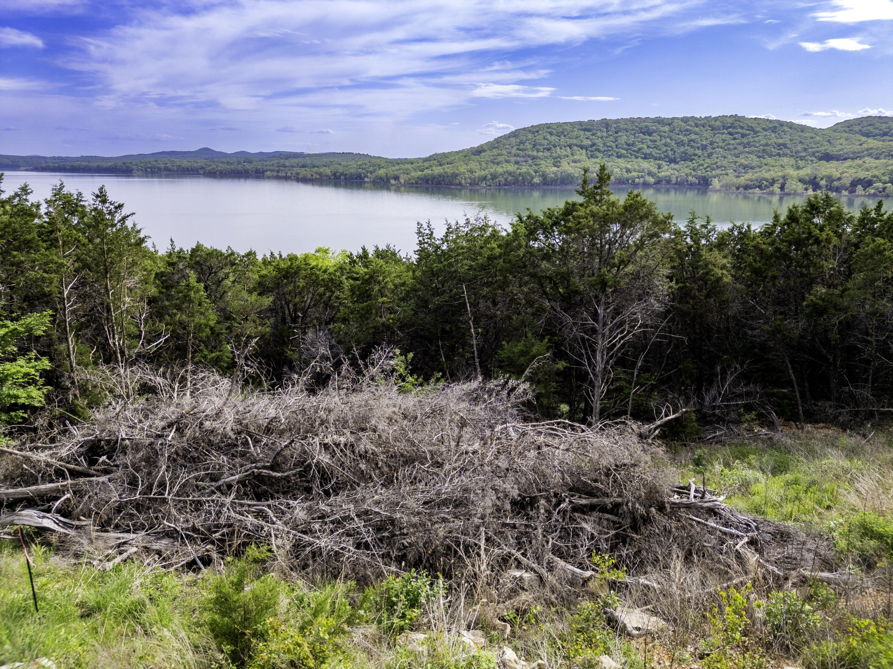 Shell Knob Waterfront Wooded Lot