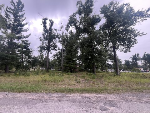 Land, Gaylord, MI