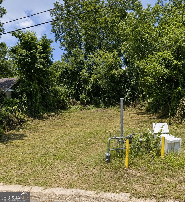 Picture 2
