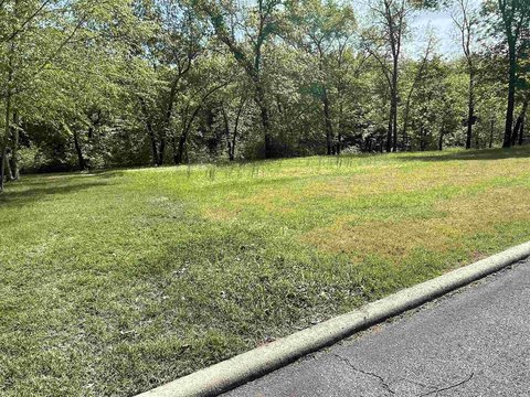 LAND - Heber Springs, AR