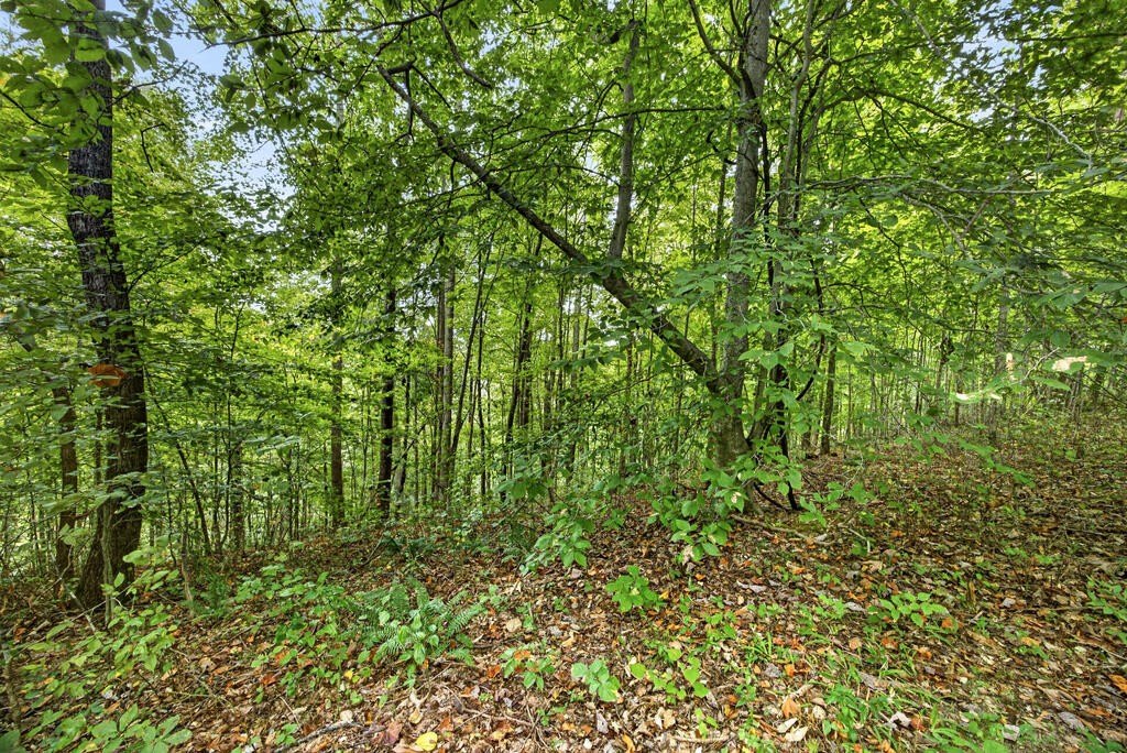 Picture 8