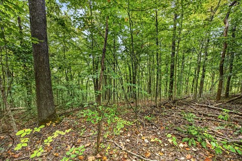 Land, Celina, TN