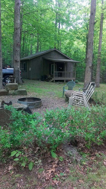 Picture 11