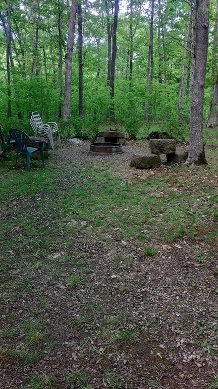Picture 10