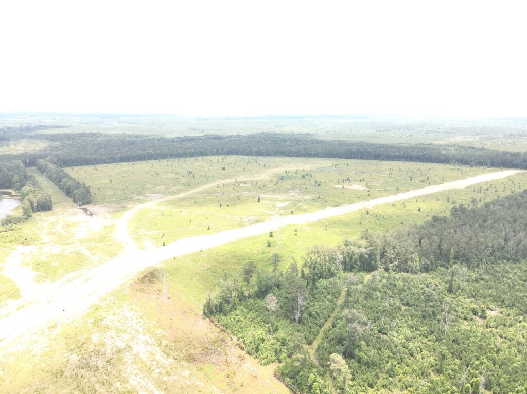 Picture 13