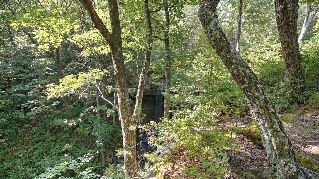 Picture 6