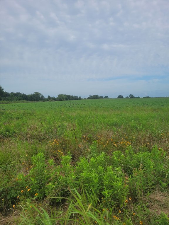Picture 19