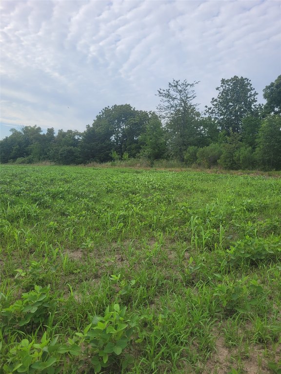 Picture 16