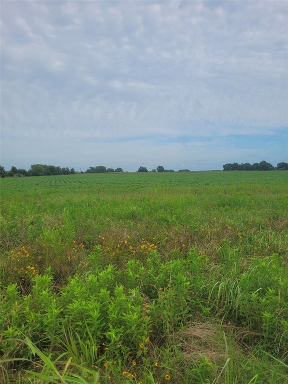 Picture 20