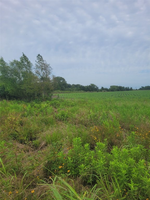 Picture 27
