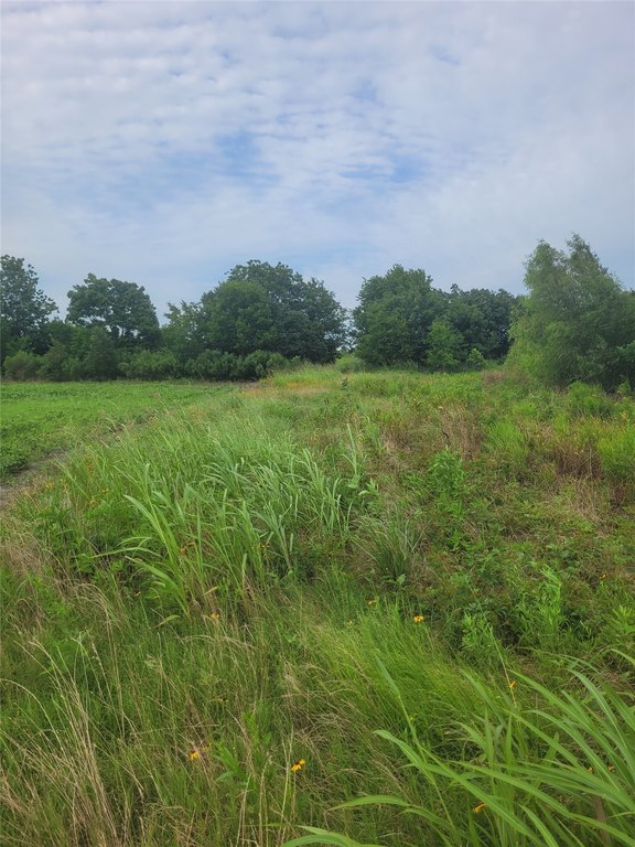 Picture 29