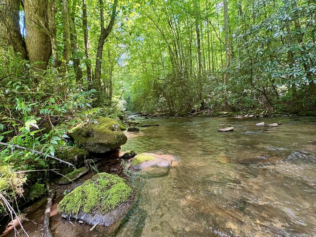 Creekfront Land Near Bryson City