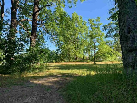 LAND - EAST JORDAN, MI