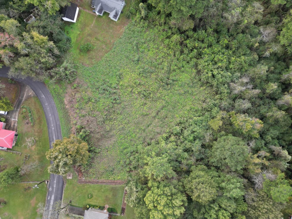 Picture 18