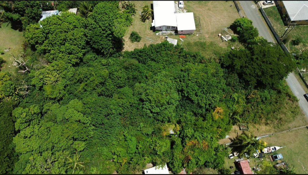 Picture 6