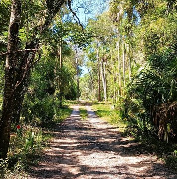 Land, CRYSTAL RIVER, FL