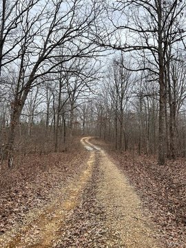 Secluded Wooded Land For Sale