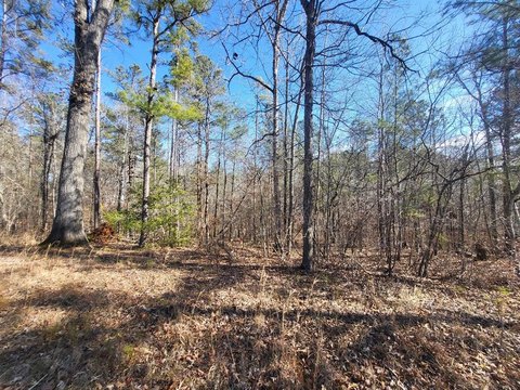 Half Acre Lot Near Lake