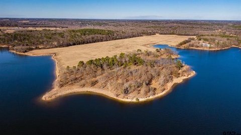 Lake Cypress Springs Shoreline Lot