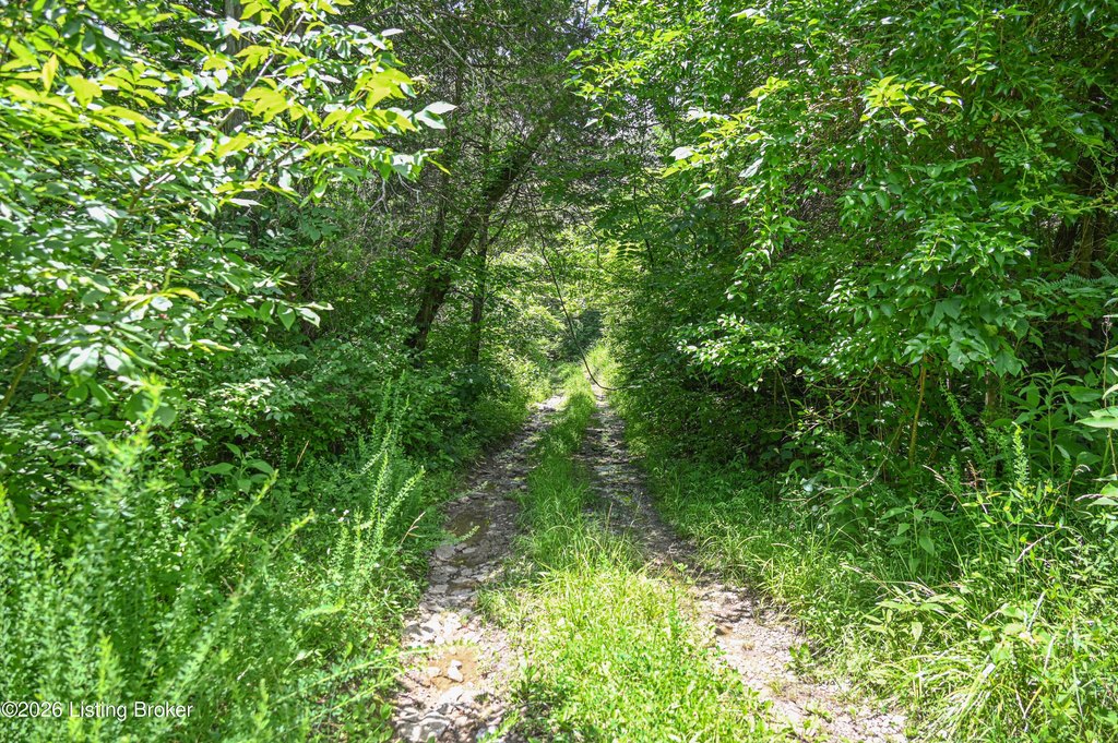 Picture 13