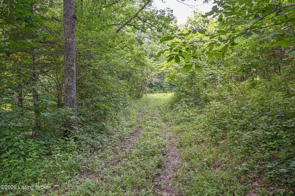 Picture 14