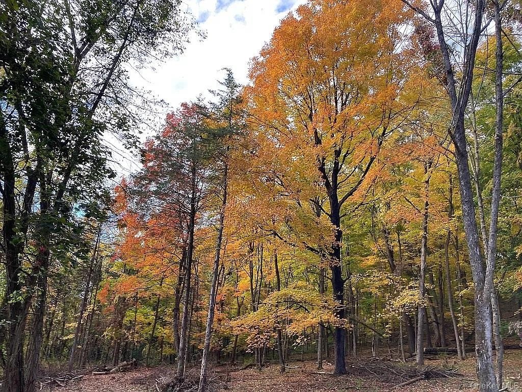 Hudson NY Land Parcel